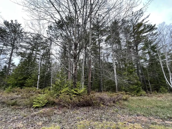 LOT 82 Sprucedale Ct, Presque Isle, MI 49777