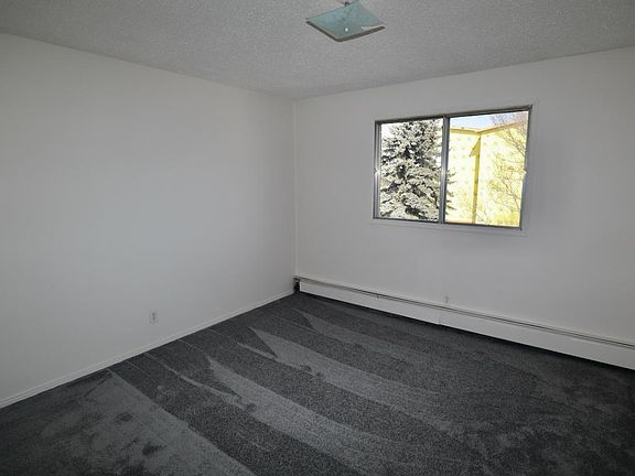 laurier - 5_04022022