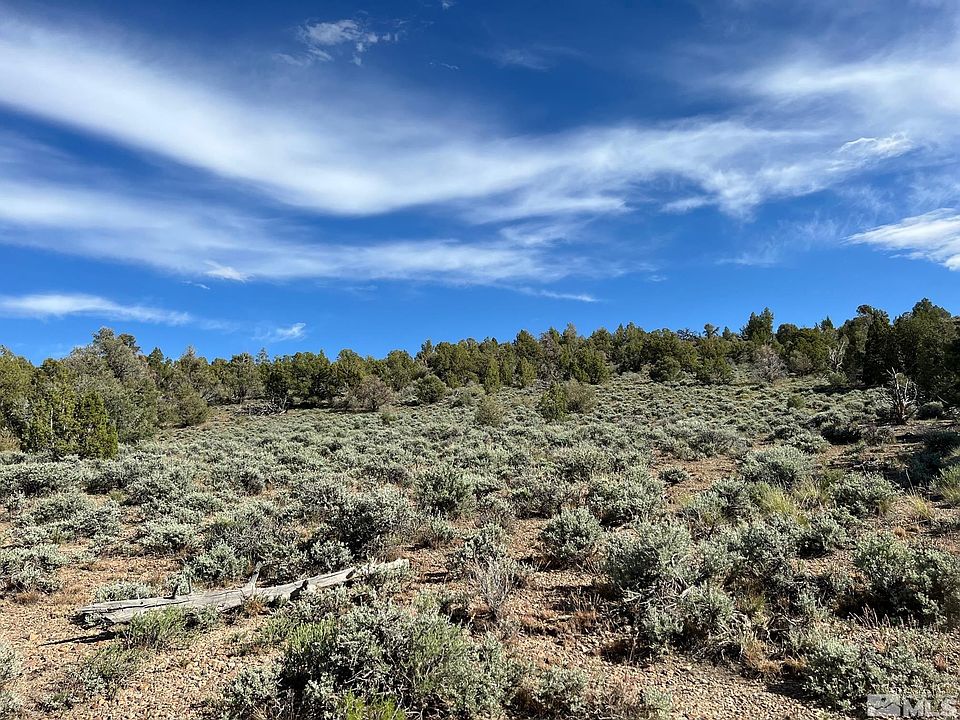 P 16 Pine Nut Mountains 68, Gardnerville, NV 89410 MLS 220008089