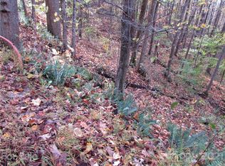 E Fifteen Red Wolf Run None, Mars Hill, NC 28754