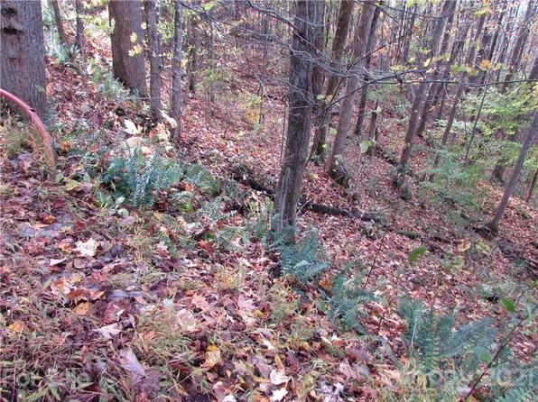 E Fifteen Red Wolf Run None, Mars Hill, NC 28754