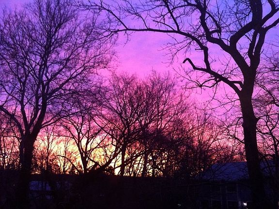Morning Sunrise
