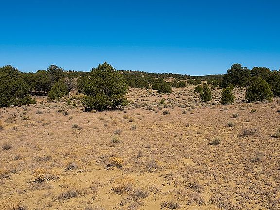 4th image of Ponderosa Dr #9