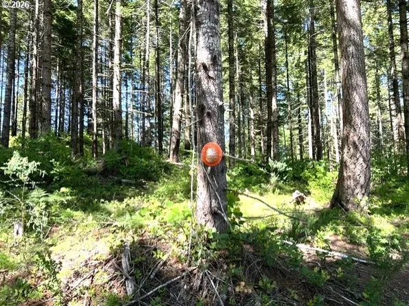 Tunnel Tract Parcel 1, Banks, OR 97106