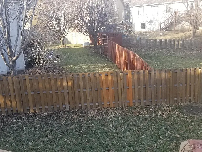 Backyard #2.