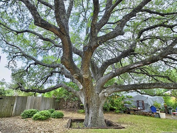 3rd image of 1707 ENCINO SPRING