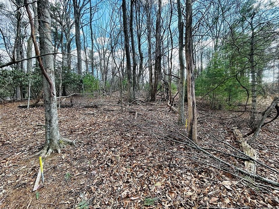 1st image of Tbd Old Hollow Trl