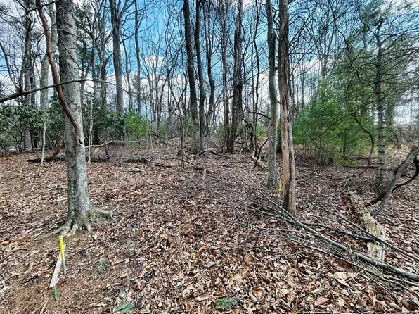 Tbd Old Hollow Trl, Fancy Gap, VA 24328