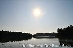 5th image of Welshpool Back Rd