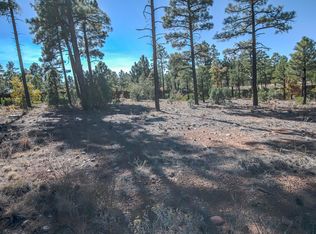 421 E Huckleberry Ln, Show Low, AZ 85901