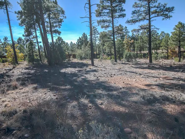 421 E Huckleberry Ln, Show Low, AZ 85901