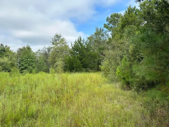 Valee Rd, Ponce De Leon, FL 32455