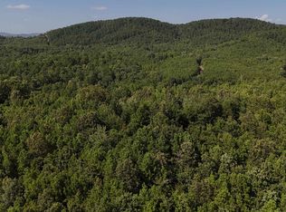 1 Polk Rd #78, Mena, AR 71953