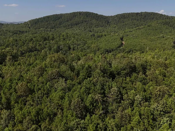 1 Polk Rd #78, Mena, AR 71953