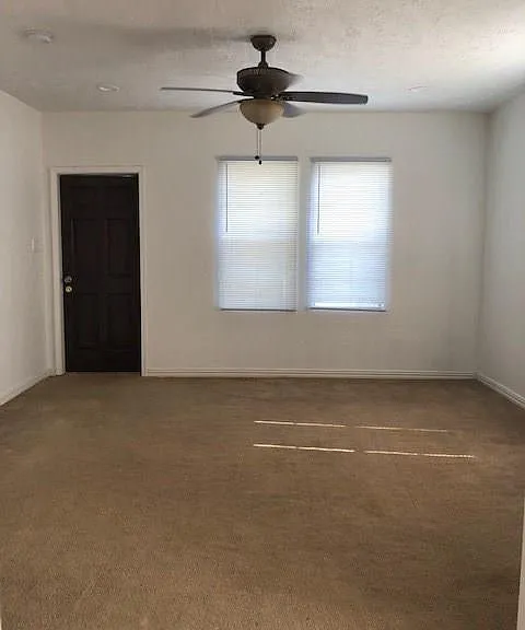 20 Miriam St — Photo 4