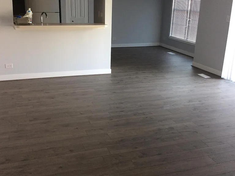 Kitchen and living room