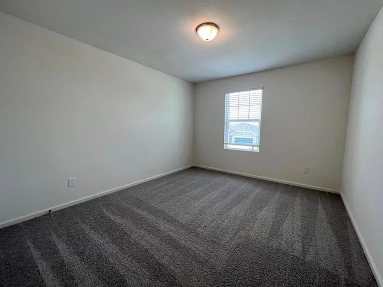 1005 Wild Enclave Ln — Photo 11