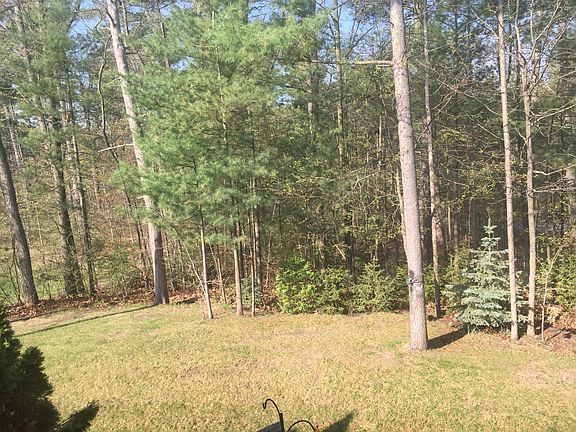 Back yard area