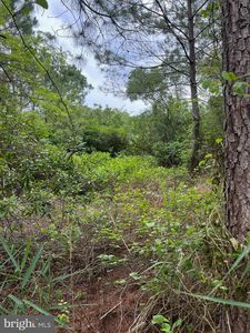 0 Boone Rd PARCEL 1290, Crisfield, MD, 21817