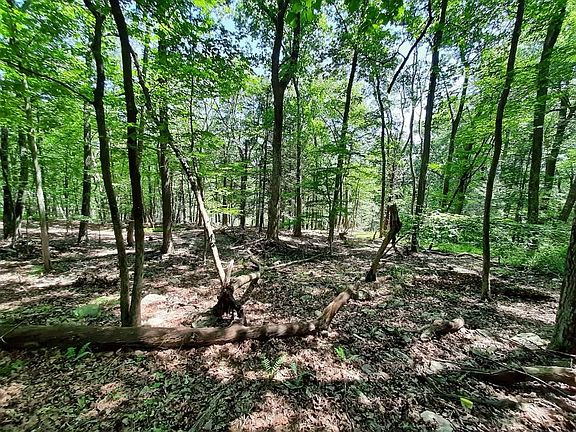 4th image of 6171 Kansa Rd