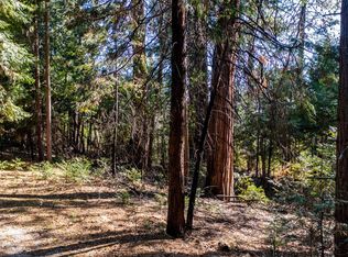 25750 Buckeye Rd, Pioneer, CA 95666