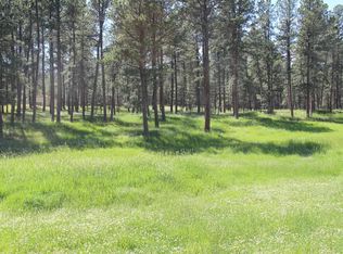 LOT 1 Other, Custer, SD 57730