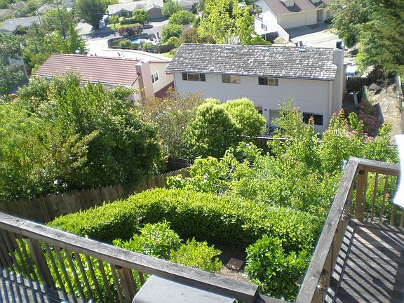 Citrus and fruit orchard