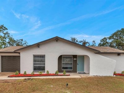11199 Mayflower Rd, Spring Hill, FL, 34608