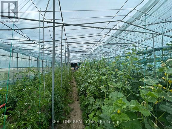 5th image of 2065B Thorah Concession Rd #4