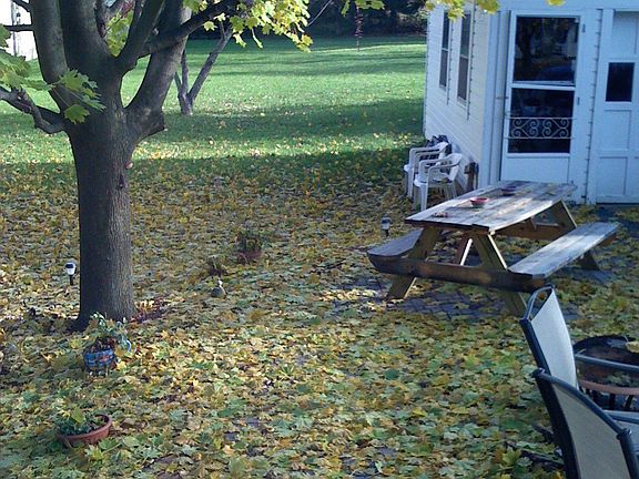 Looking towards the back yard