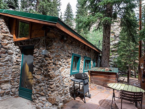 Back Patio with BBQ