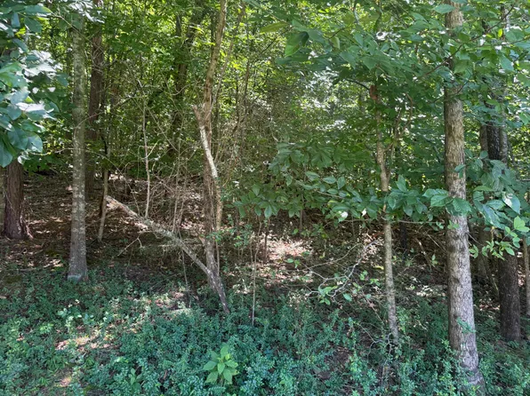 0 Rock Hill Rd, Newport, TN 37821