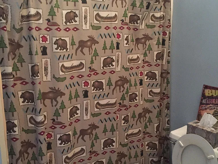 80 Bobcat Ln — Photo 5