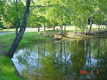 stocked fish pond