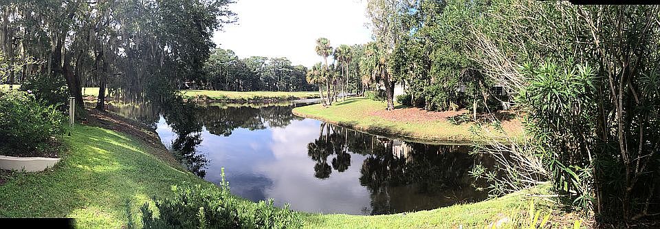 our backyard