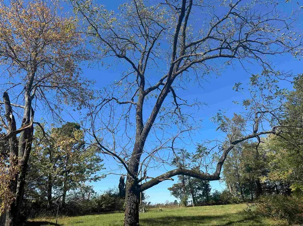 159 Brownsville Springs Rd, Greers Ferry, AR 72067