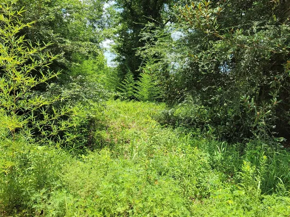 2 County Road 402 Lot 2, Clanton, AL 35045
