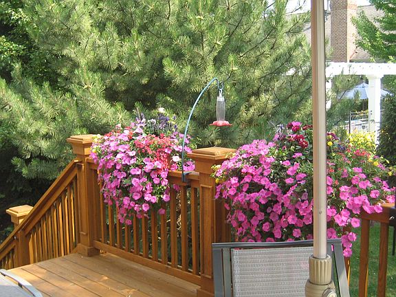 5th image of 44653 Broadmoor Cir N