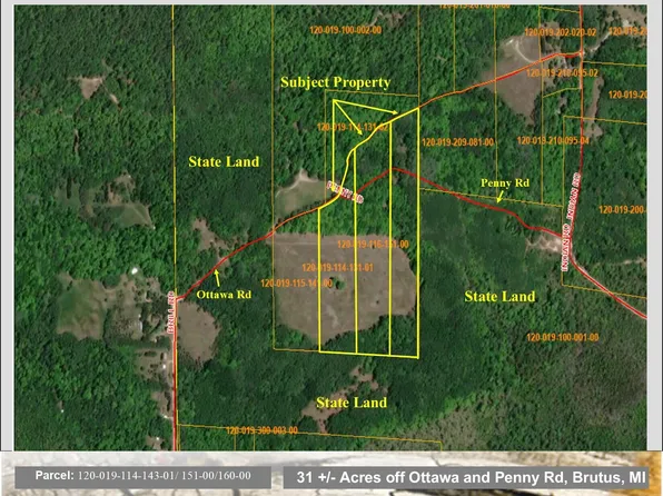 Off Ottawa & Penny Rd, Brutus, MI 49716
