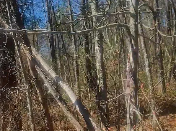 40 Acres Hwy #46, Leola, AR 72084