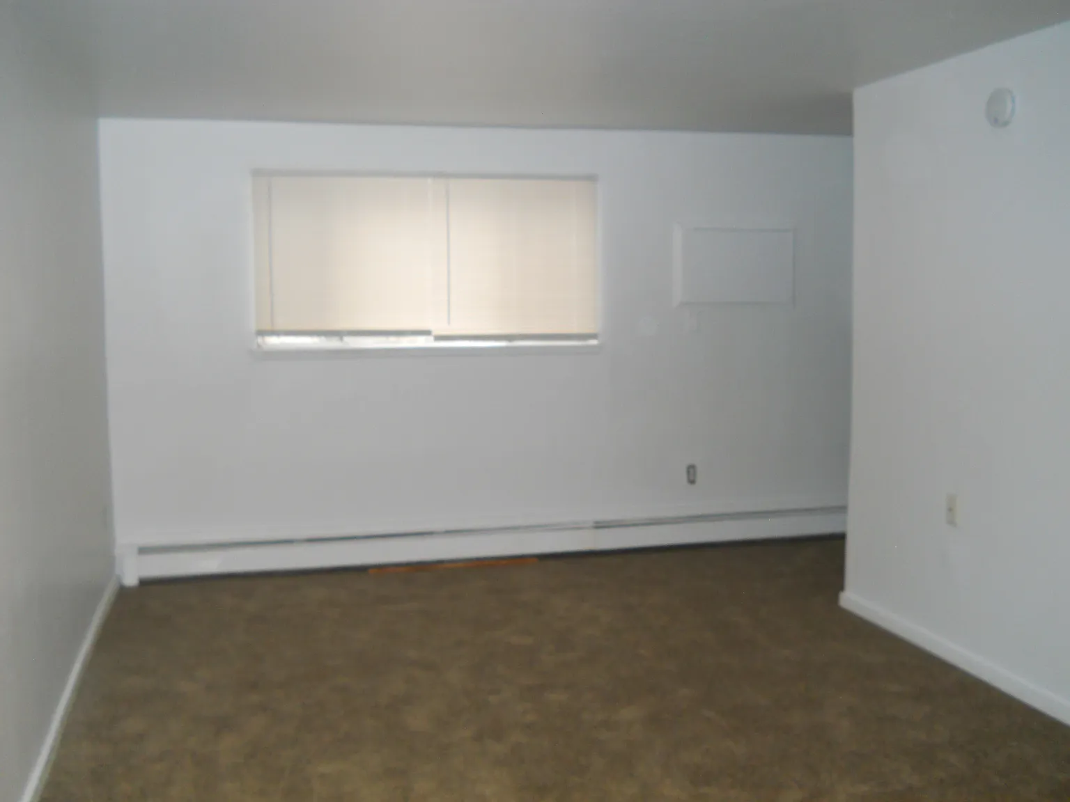 2 bed, $900 — Photo 4