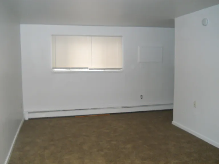 13 Arthur St — Photo 4
