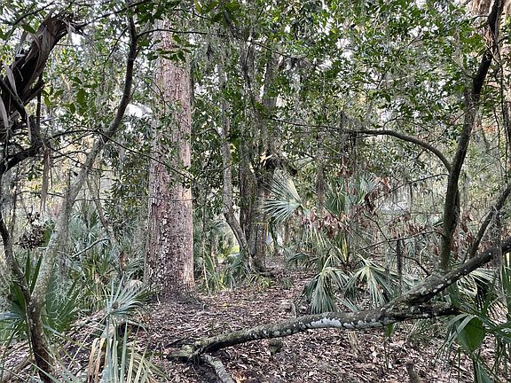 5th image of 539 Oristo Rdg