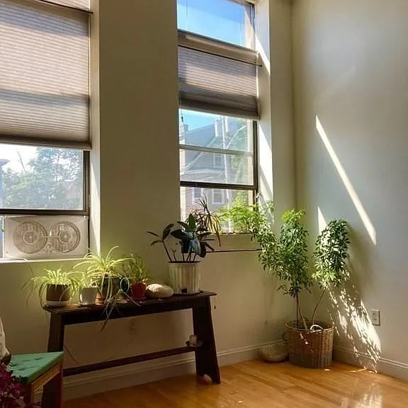 58 Almont St #5 — Photo 7