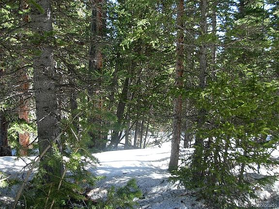 3rd image of 306 GRIZZLY Drive LOT 728