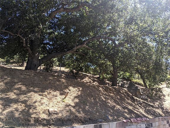 3rd image of 1036 Loma Ln