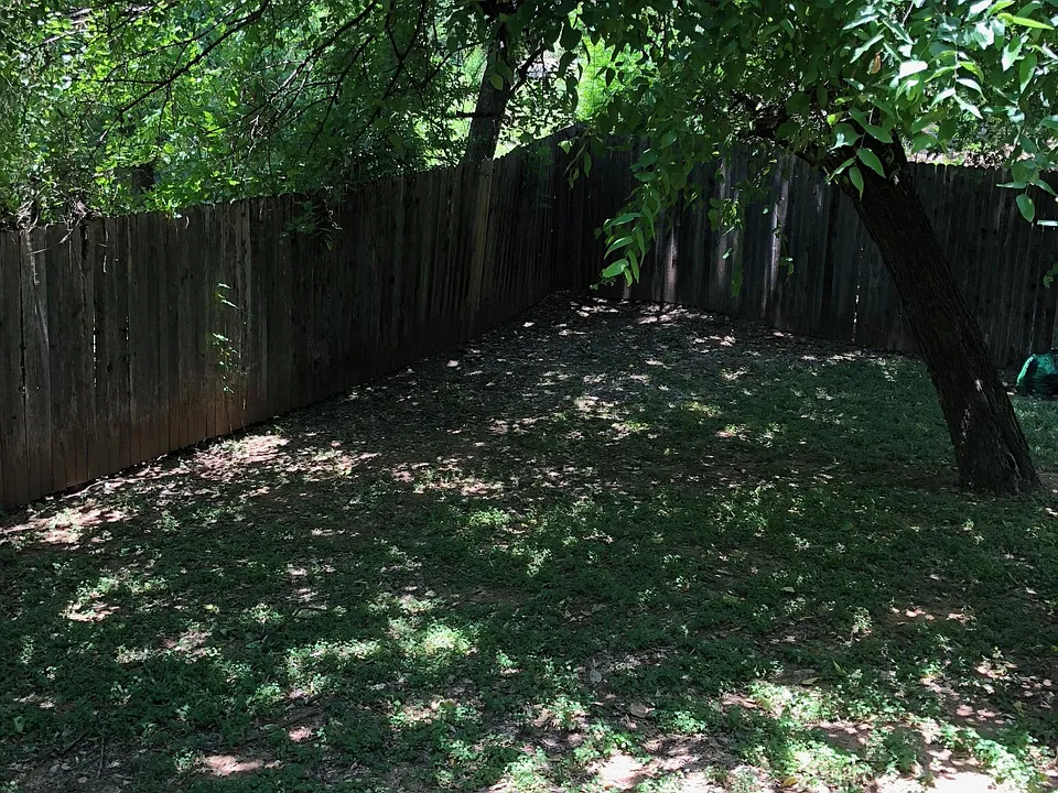 fenced back yard
