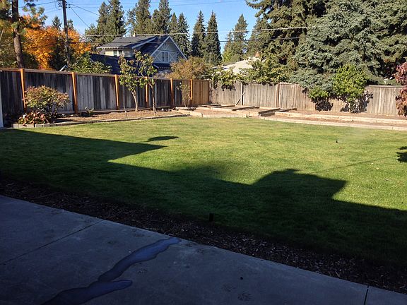 Raised garden beds galore!