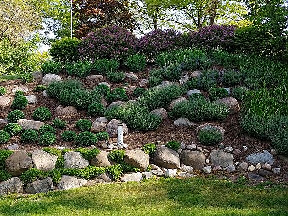 New landscaping private yard