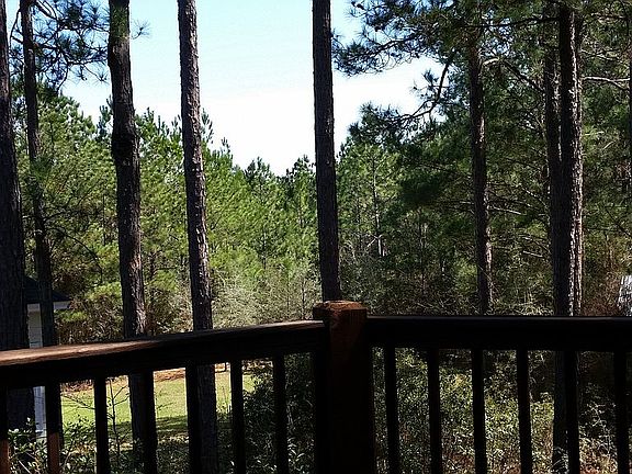 View from wrap around deck.